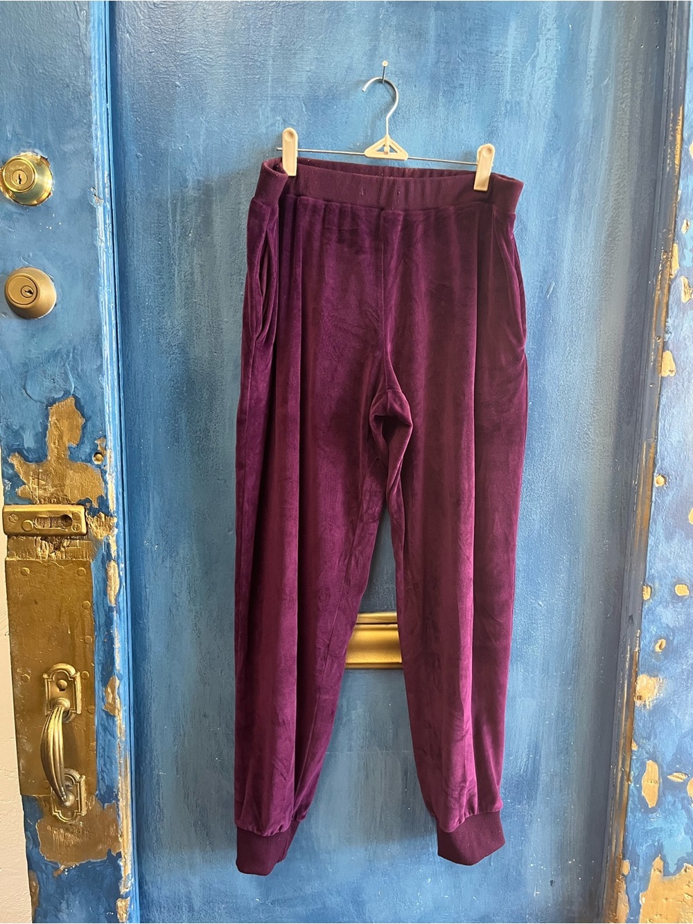 Velvet Jogger Pants in Deep Plum